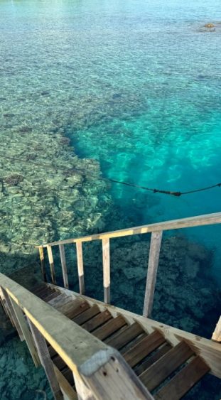 Eine Holztreppe führt ins Meer.