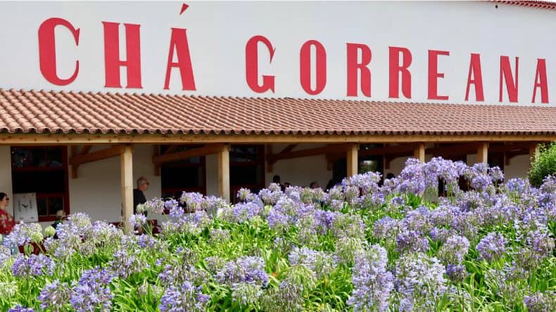 Die Teefabrik Cha Gorreana auf der Insel São Miguel – eine der ältesten und schönsten Teefabriken Europas.