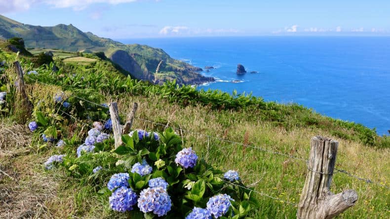 Die grüne Küste von São Miguel, eingerahmt von leuchtenden Hortensien und dem unendlichen Blau des Atlantiks – ein Stück Paradies auf den Azoren.