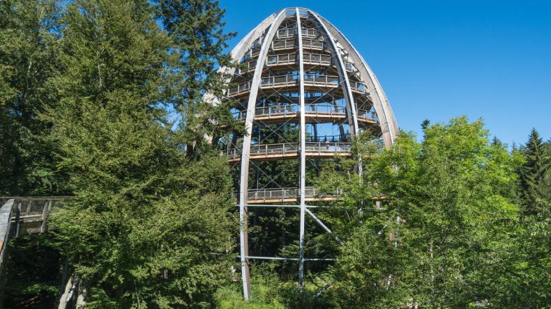 Blick auf den Baumwipfelpfad und grüne Bäume im Bayerischen Wald, Deutschland