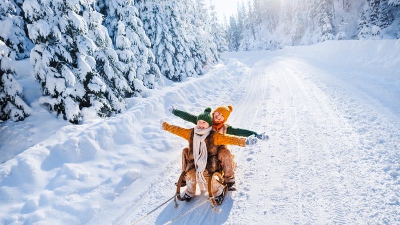 Zwei kleine Kinder auf einem Schlitten im verschneiten Schwarzwald, Deutschland