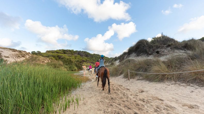 Blick von hinten auf Reiter mit Pferden in einer Dünenlandschaft, Mallorca, Balearen