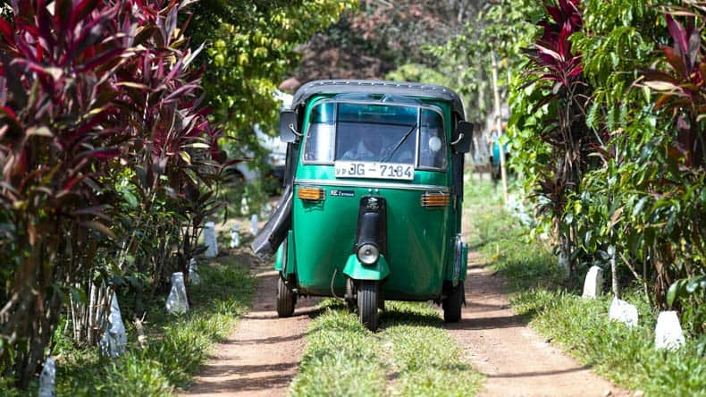 Tuk-Tuk Fahrt in den Reisfeldern von Sri Lanka