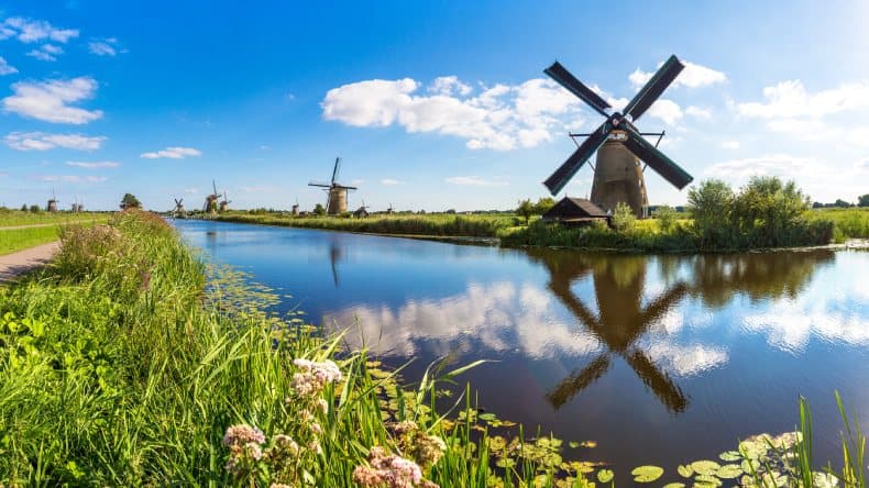 Mehrere Windmühlen an einem Fluss, grüne Wiesen mit Blumen, Holland