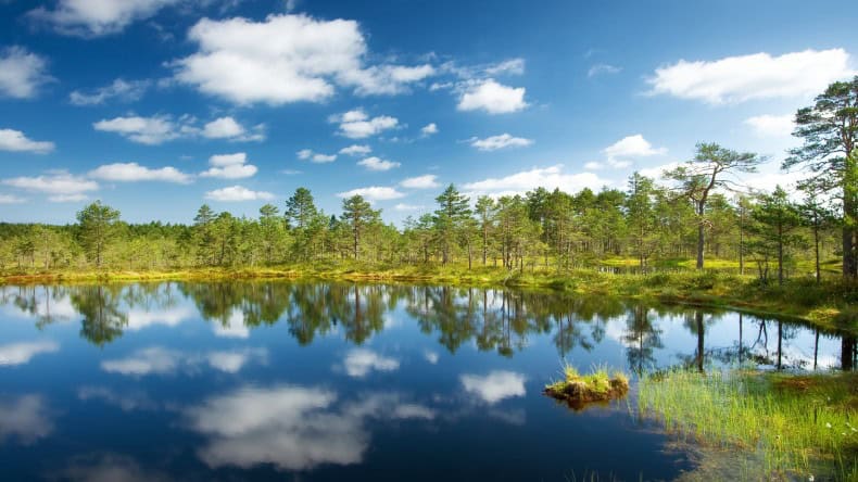 Der Lahemaa Nationalpark in Estland.