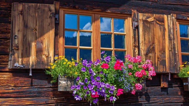 Fesnter mit Blumen im Allgäu