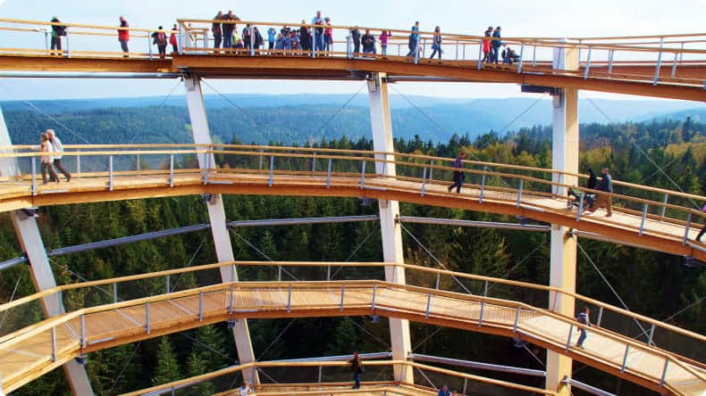 Baumwipfelpfad Bad Wildbad