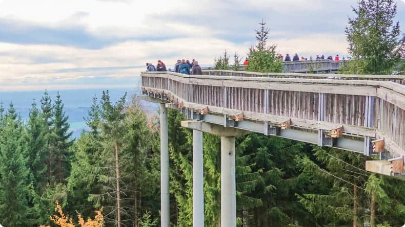 Baumwipfelpfad Englmar