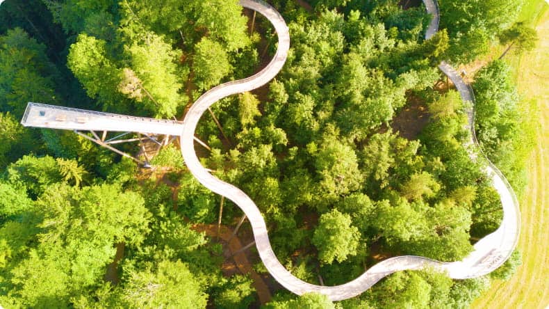 Baumwipfelpfad Mogelsberg