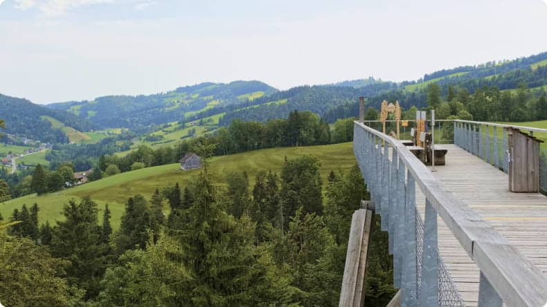 Baumwipfelpfad Neckertal