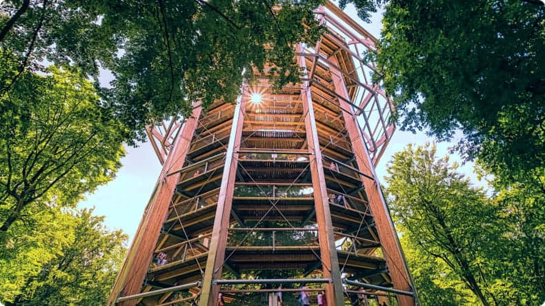 Baumwipfelpfad Rügen