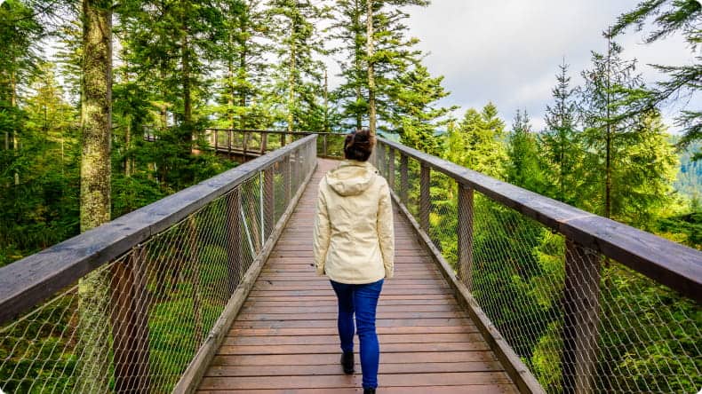 Baumwipfelpfad Schwarzwald