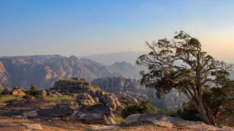 Felsformation, Grün, Bäume