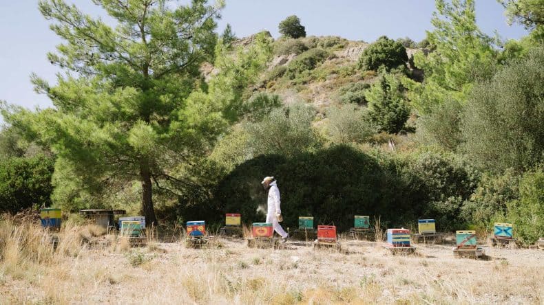 Bienenmuseum von Rhodos