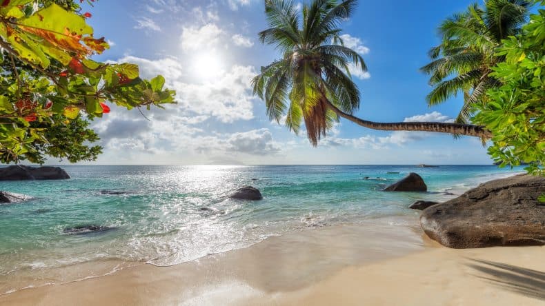 Tropischer weißer Strand mit Palmen und Meer auf den Seychellen.