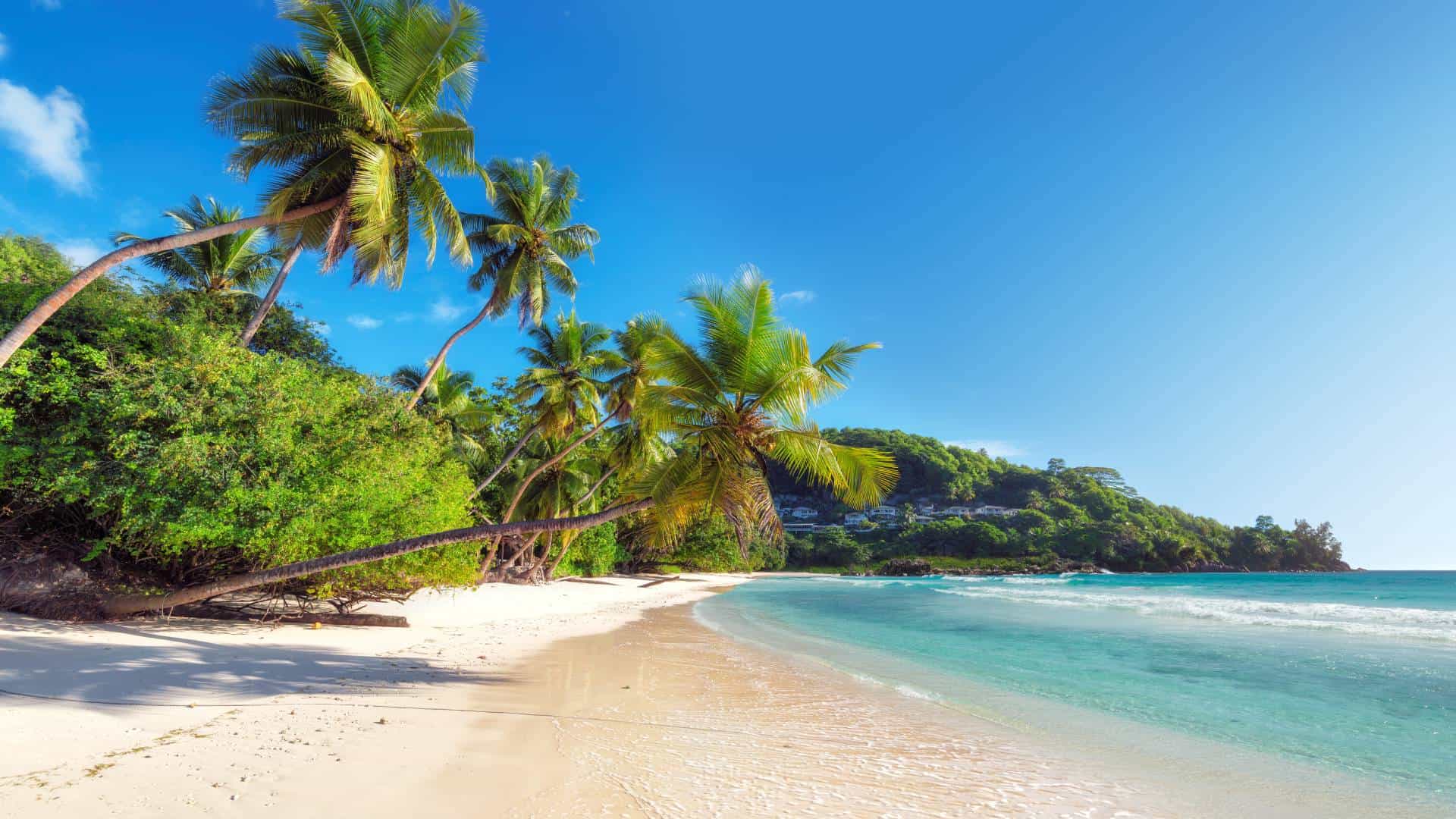 Blick auf einen Strand mit Palmen auf der Insel Mahe auf den Seychellen.
