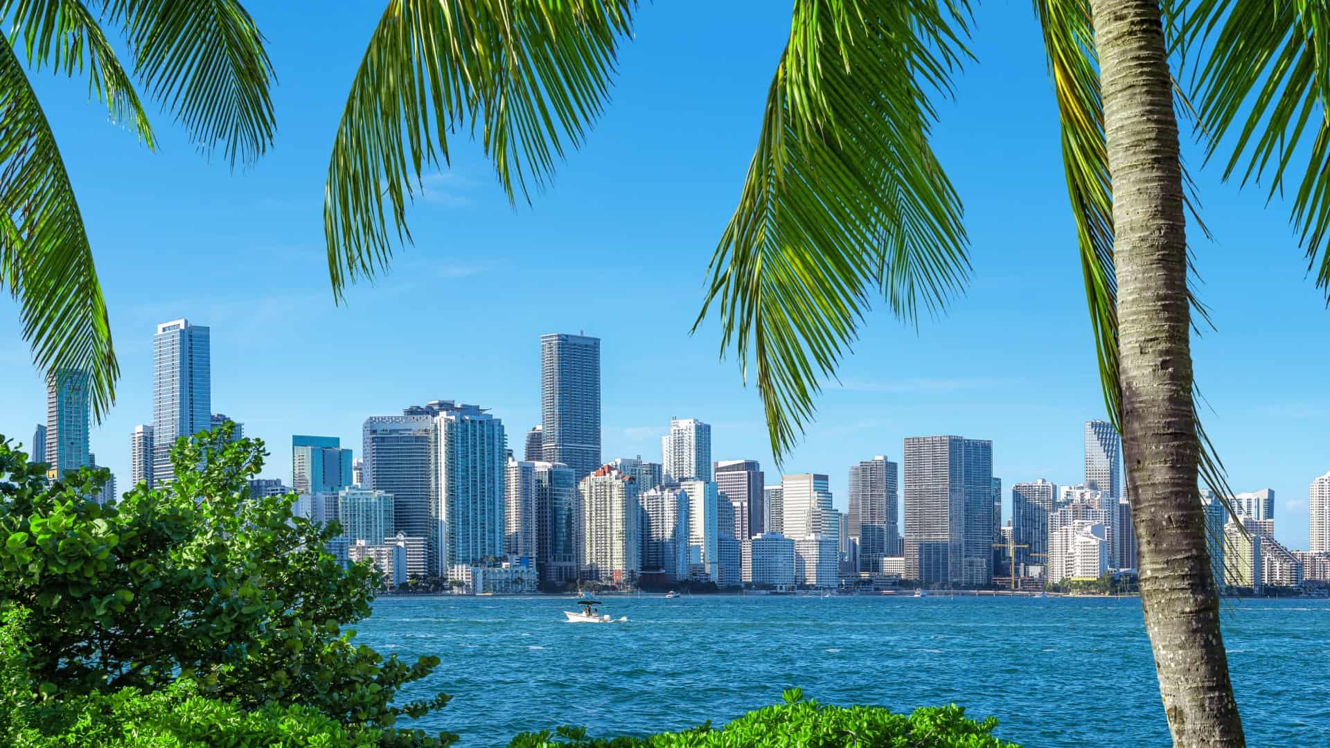 Blick auf die Skyline von Florida