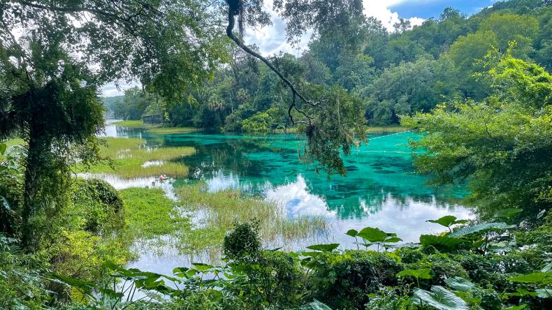 Blick auf den Rainbow Springs State Park in Florida