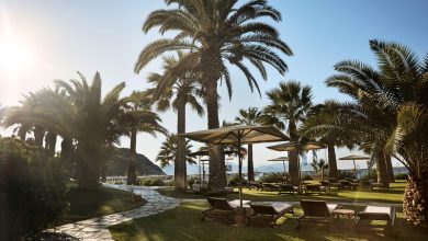 Blick auf Palmen und Sonnenliegen im ROBINSON SARIGERME