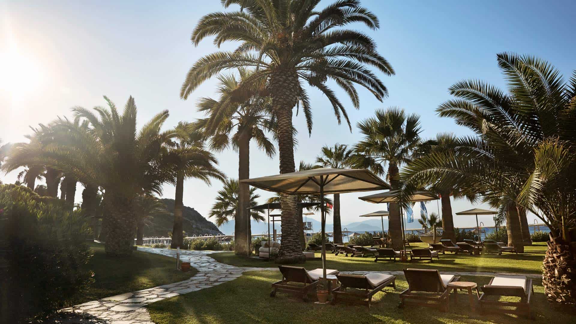 Blick auf Palmen und Sonnenliegen im ROBINSON SARIGERME