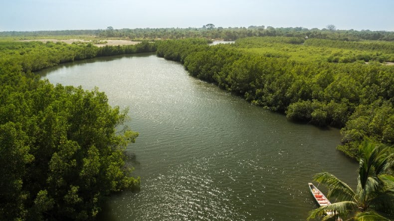 Blick auf einen Nebenfluss des Gambia-Flusses in der Nähe des Makasutu-Waldes in Gambia