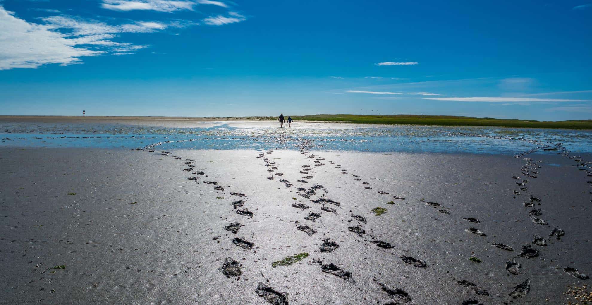 Wattwanderung an der Nordsee mit Fußabdrücken und zwei Menschen