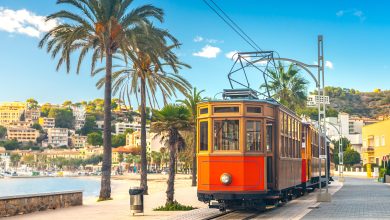 Header-Bild mit roter Bahn, Palmen, Strand und Meer