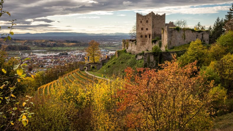 Burg Schauenburg, Oberkirch, Burg, Stadt im Hintergrund, Grün