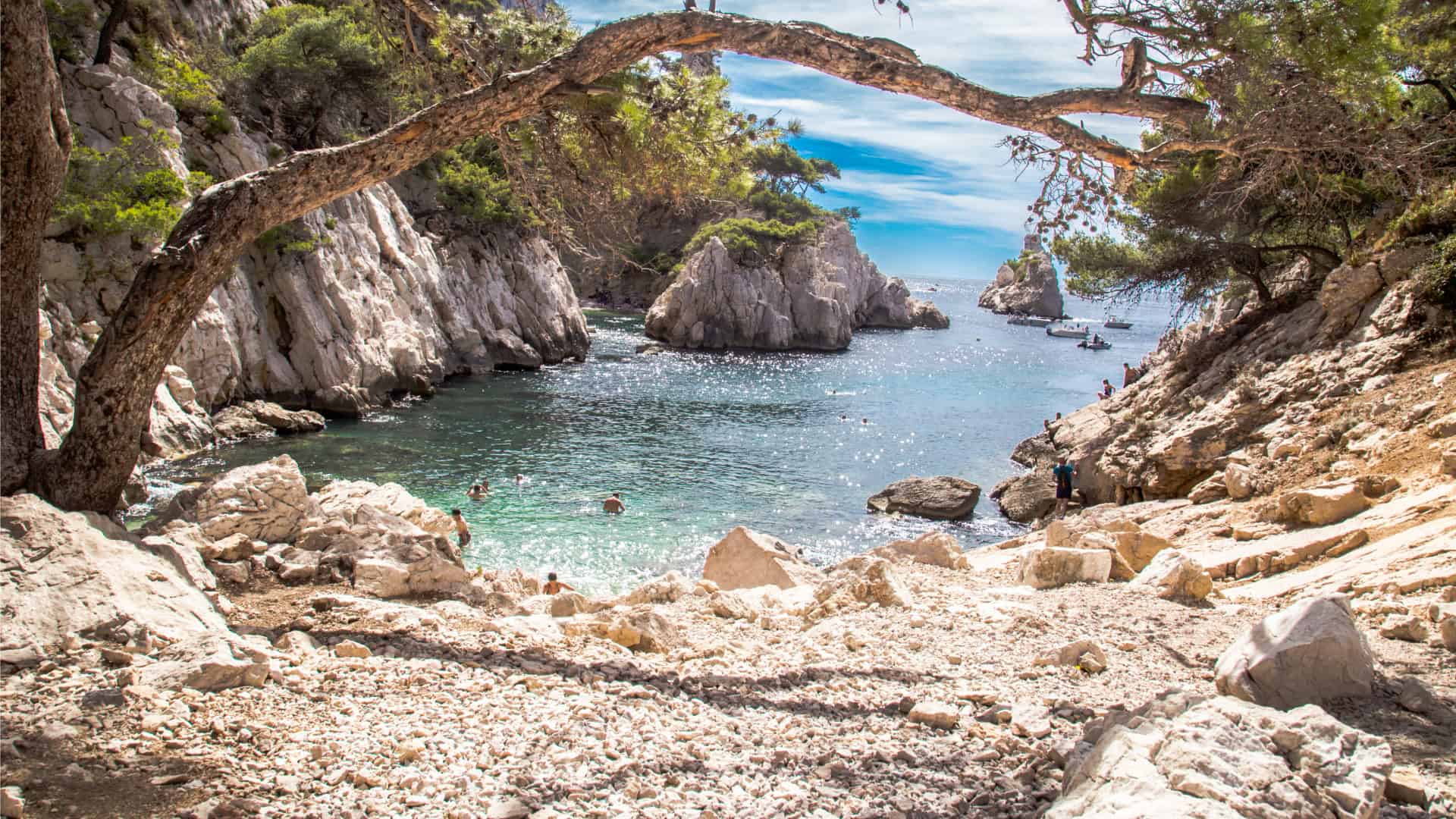 Calanques de Marseille, Felsbucht, Meer, Bäume