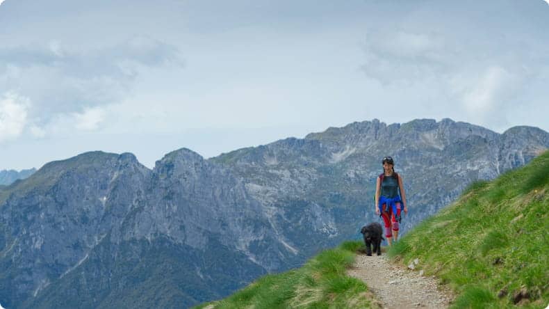 Frau wandert mit Hund auf hohem Berg