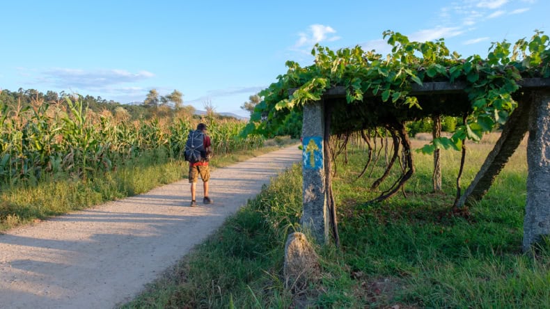 Pilger auf dem Inlandsweg in Portugal, Mann, Weg, Grün