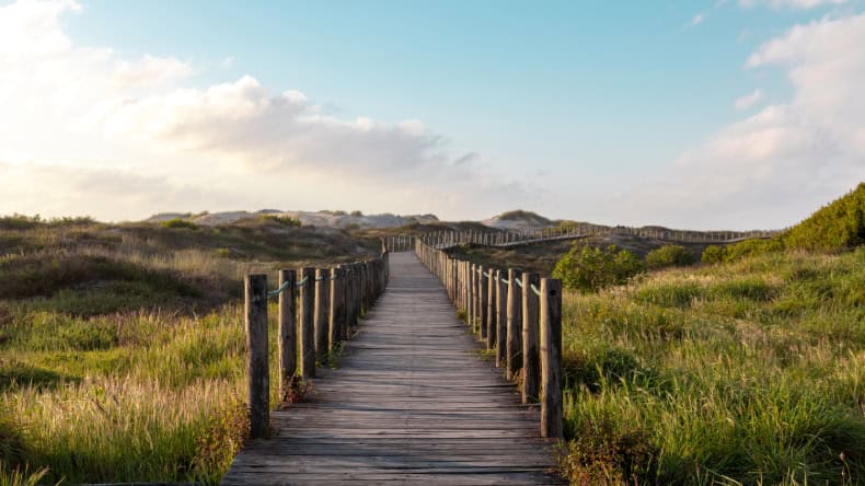 Der Weg entlang des Strandes in Esposende, Grün, Holzweg