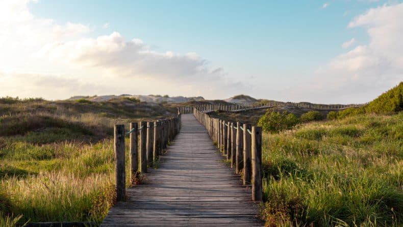 Der Weg entlang des Strandes in Esposende, Grün, Holzweg