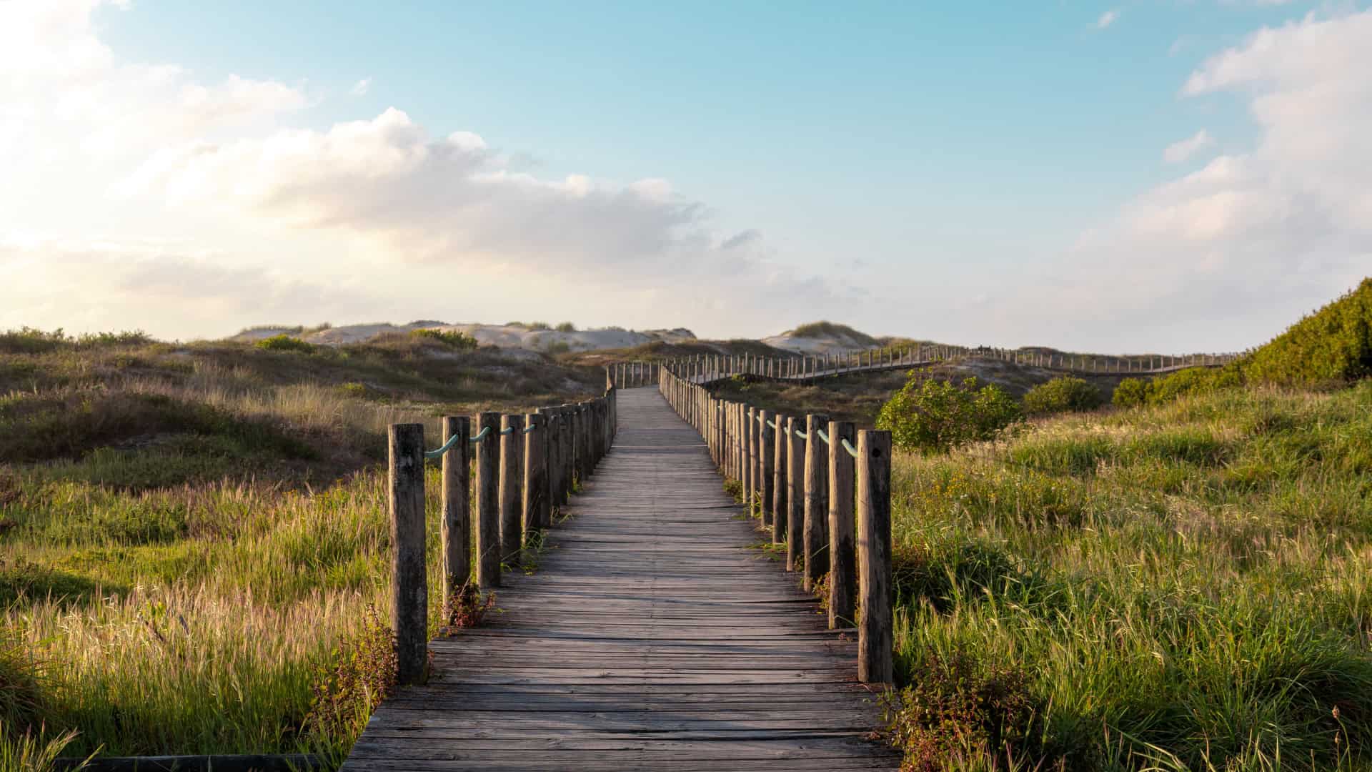 Der Weg entlang des Strandes in Esposende, Grün, Holzweg
