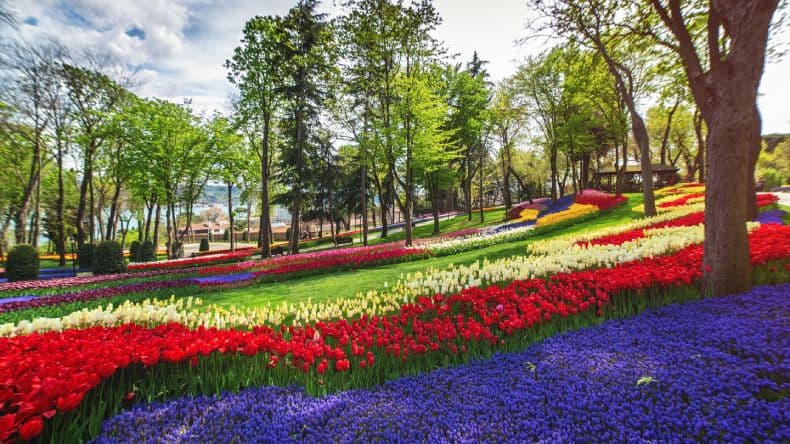 Emirgan Park Istanbul