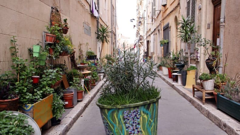 Blick auf eine Gasse mit Pflanzen an den Wänden im Panier-Viertel, Marseille