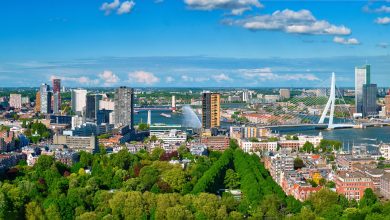 Panoramablick auf Rotterdam, Beitragsbild