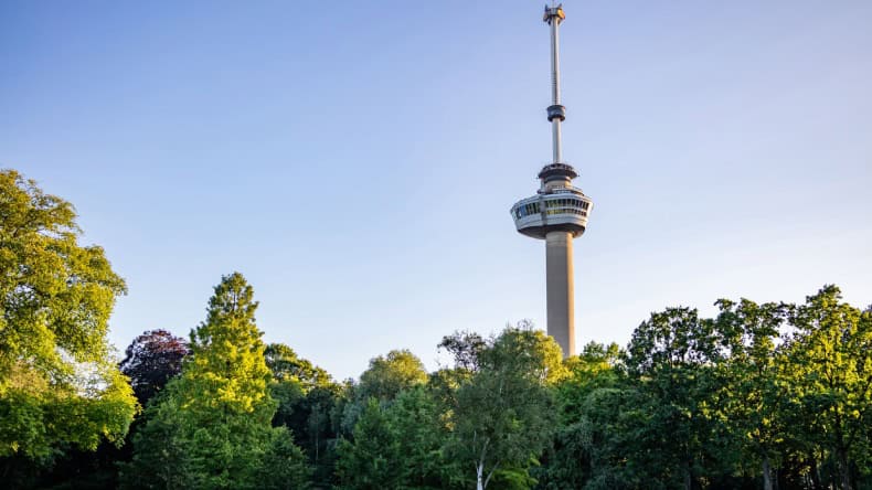 Blick auf den Euromast und Bäume, Rotterdam