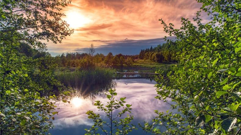 Blick auf die wunderschöne Natur der Masuren mit See und Bäumen im Sonnenuntergang, Polen