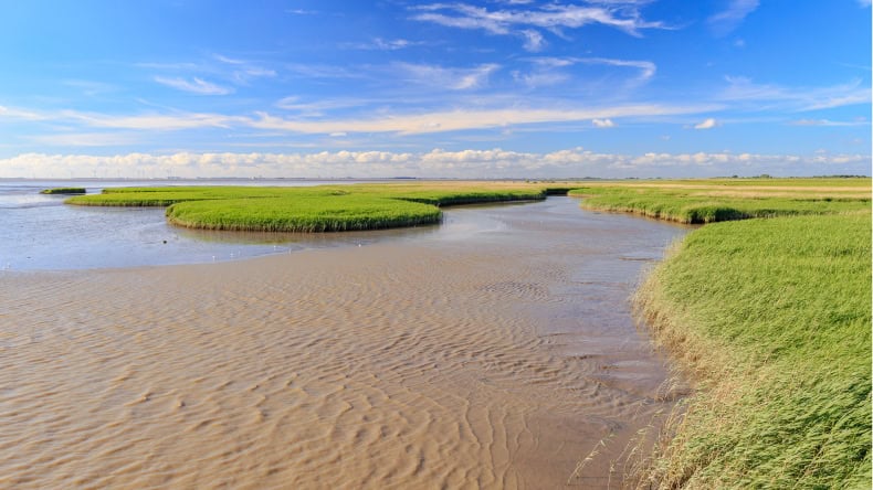 Wattenmeer