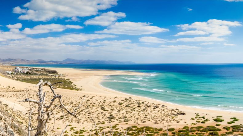 Blick auf den weitläufigen Strand Playa de Sotavento, heller Strand, türkisfarbenes Meer, Fuerteventura, Spanien