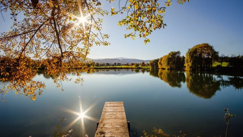 Herbst an einem See im Harz, Wasser, Holzsteg, farbenfrohe Bäume, blauer Himmel, Sonne, Harz, Deutschland