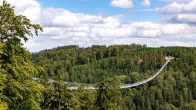 Skywalk Willingen, Hängebrücke Deutschland