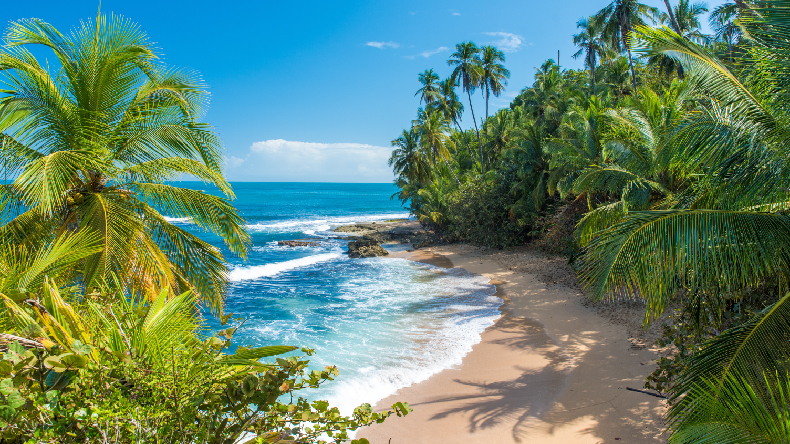 Strand von Manzanillo auf Costa Rica, Strand, Grün, Palmen, Meer