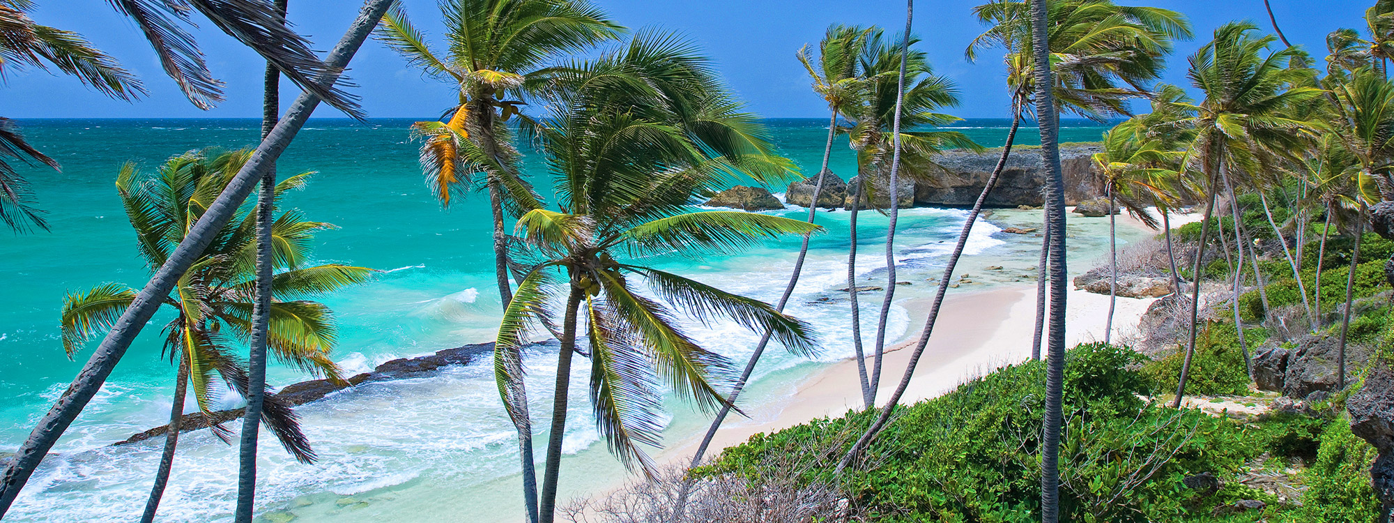 Barbados, All Season Resort Europa vom 2022-10-31 bis 2022-11-07 für 1068 EUR p.P.