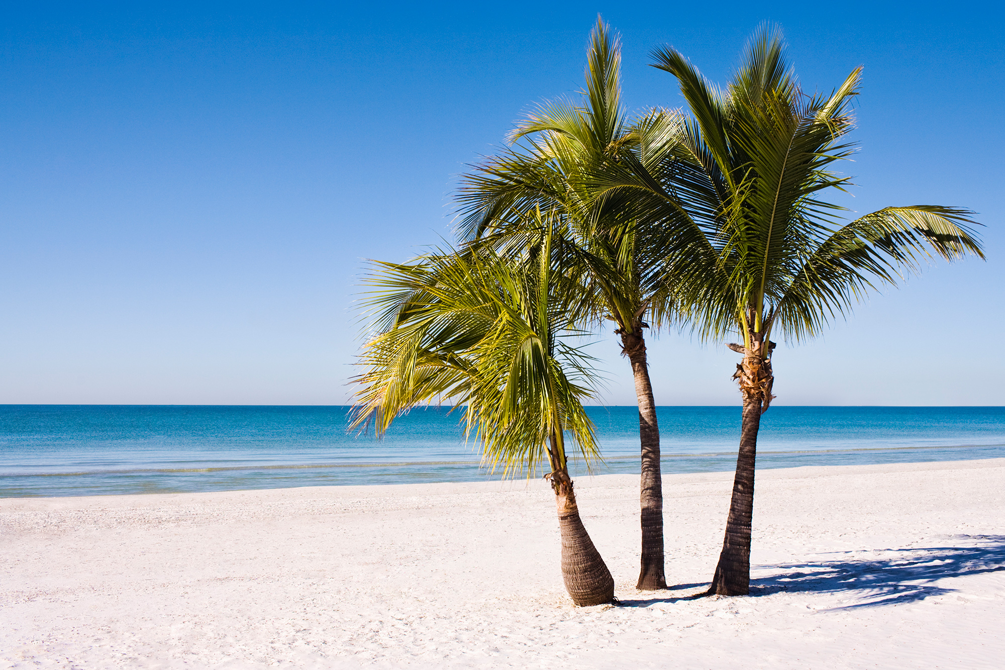 Last Minute Karibik  Strandurlaub  in der Karibik mit TUI