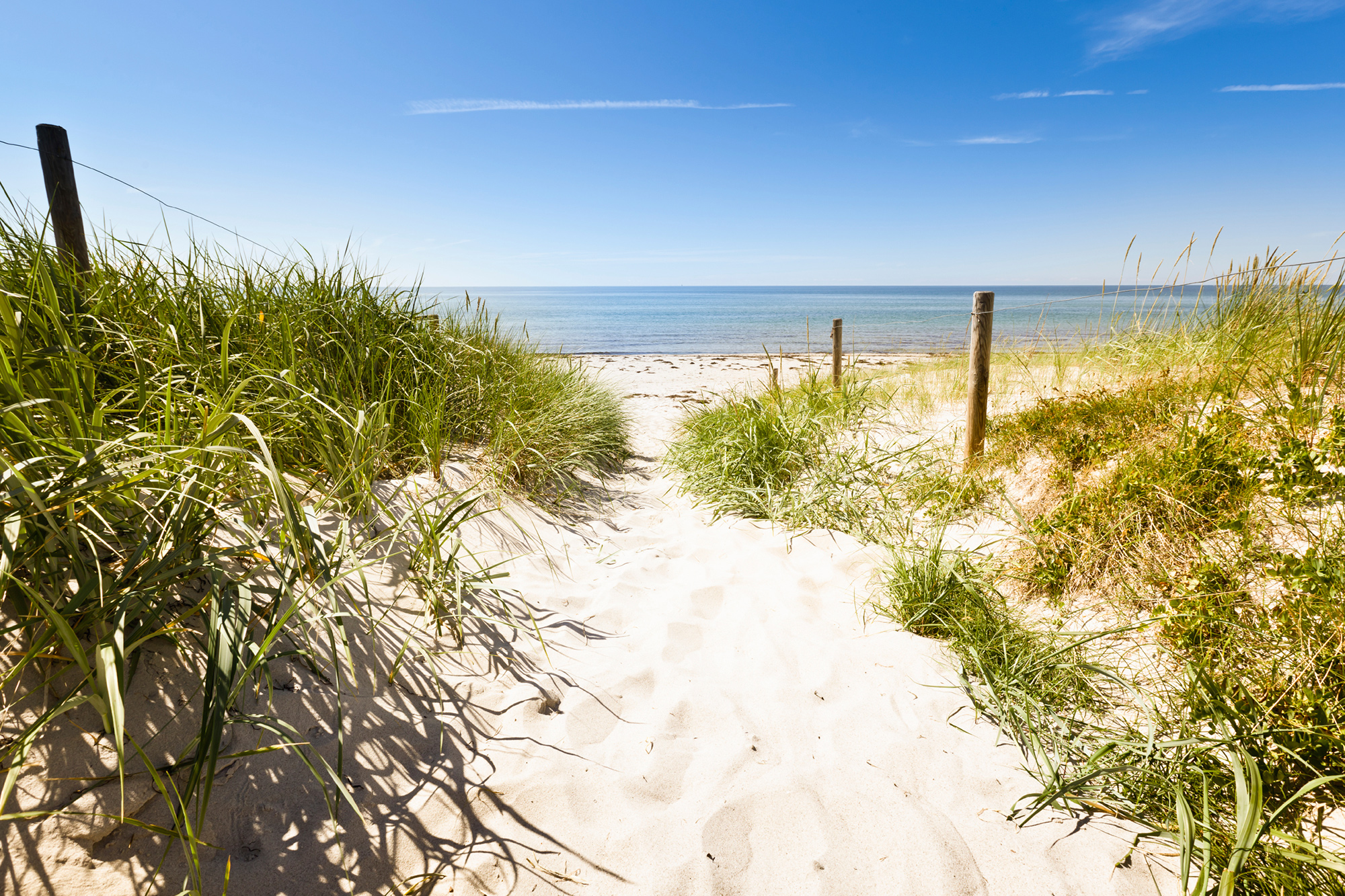 Urlaub Nordsee » Erholung an der Nordseeküste | TUI.com