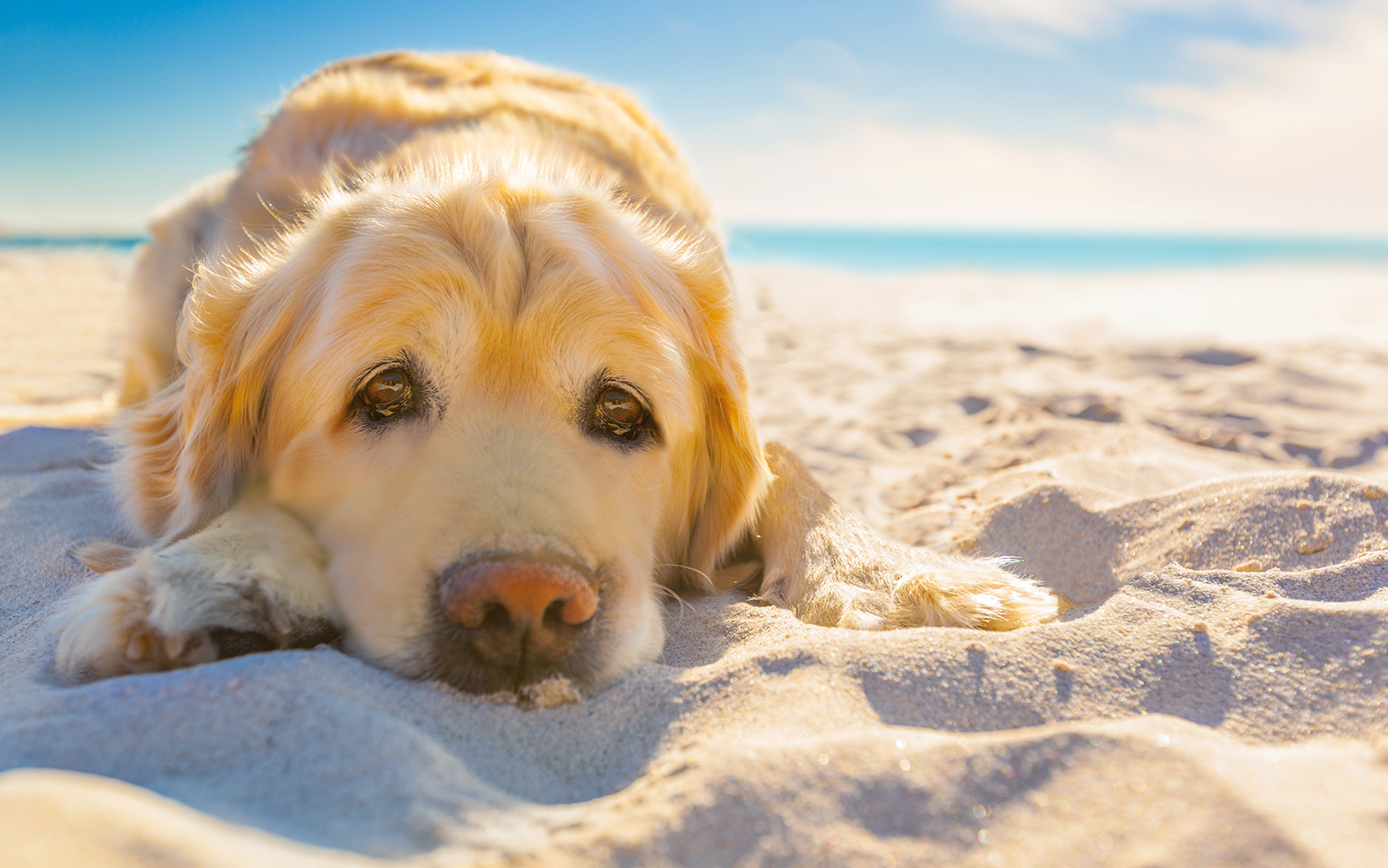 Familienurlaub Ostsee » Familienreisen mit TUI an die Ostsee