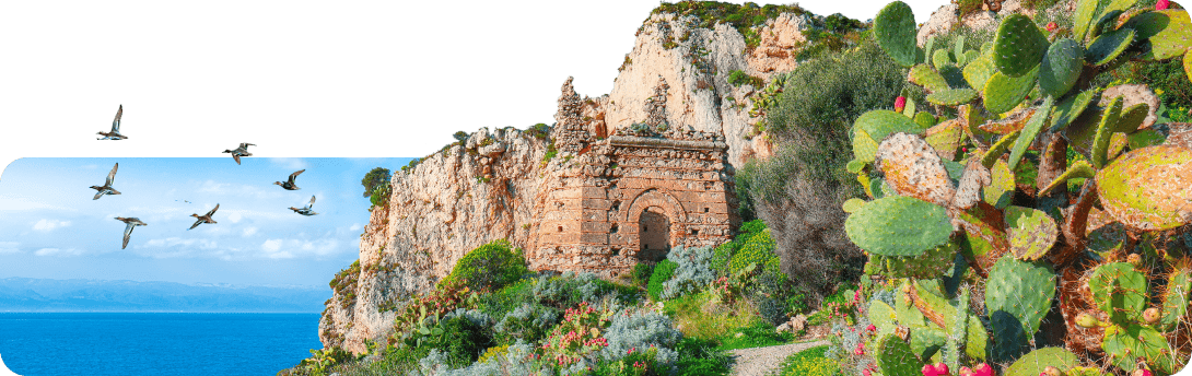 tui beste insel strandtage