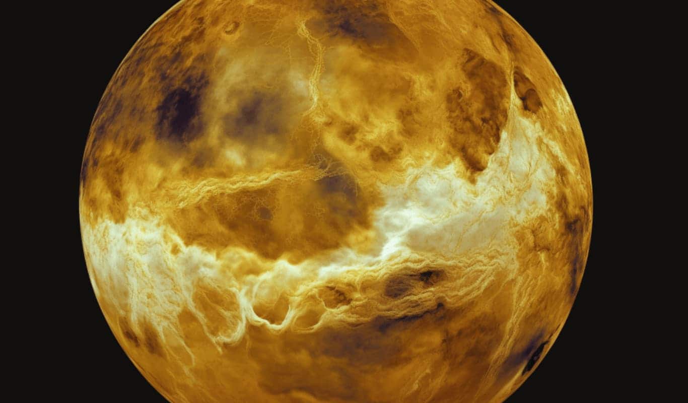 Venus Der längste Tag
